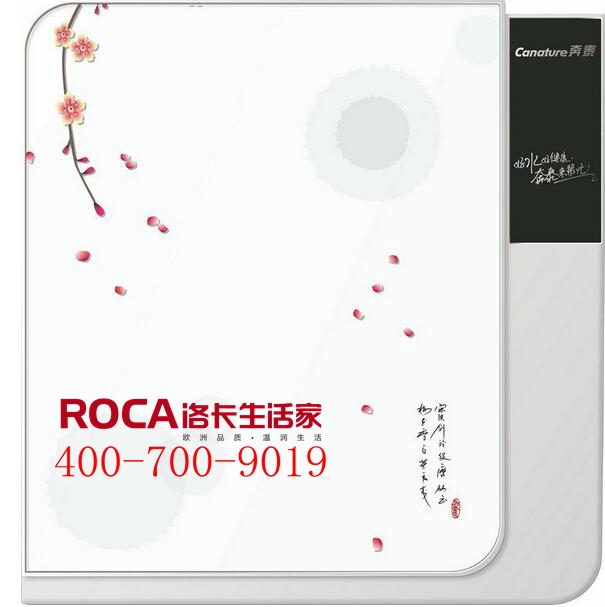 \南京進口暖氣片壁掛爐 明裝暖氣片 中央凈水