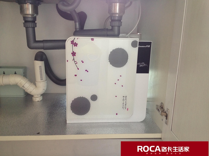 \南京進口暖氣片壁掛爐 明裝暖氣片 中央凈水