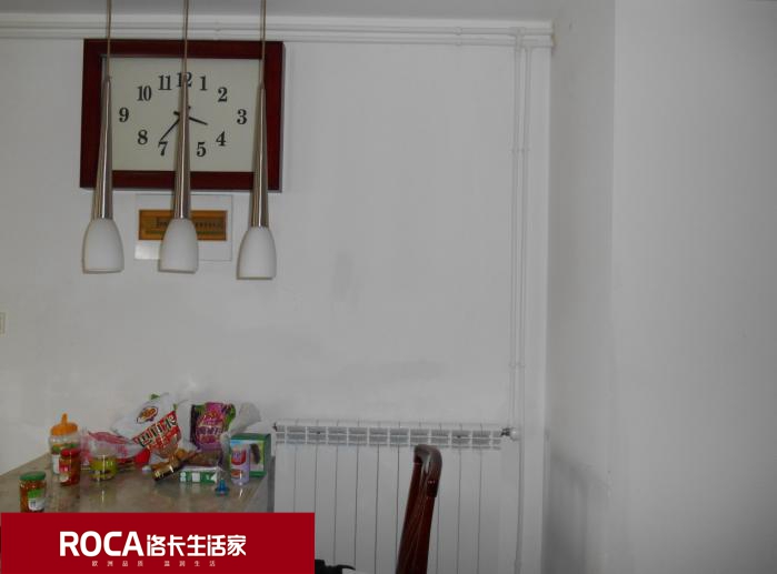 \南京進(jìn)口暖氣片壁掛爐 明裝暖氣片 中央凈水