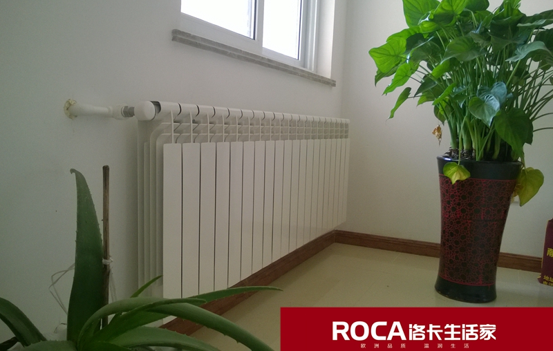 \南京進口暖氣片壁掛爐 明裝暖氣片 中央凈水