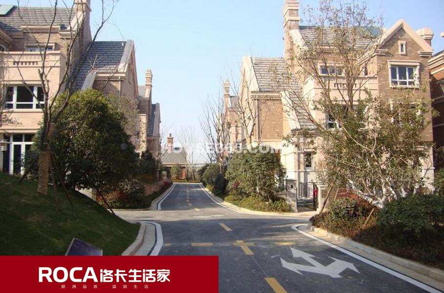 Ͼů ůƬ {(dio) ˮ bůƬ