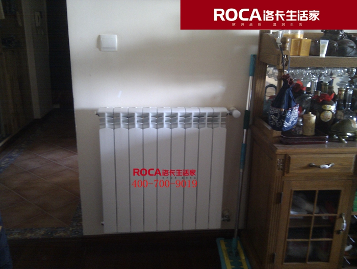 \南京進(jìn)口暖氣片壁掛爐 明裝暖氣片 中央凈水