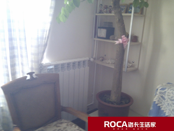 南京地暖 暖氣片 中央空調(diào) 中央凈水 明裝暖氣片