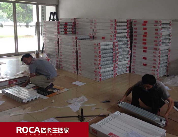 \南京進口暖氣片壁掛爐 明裝暖氣片 中央凈水