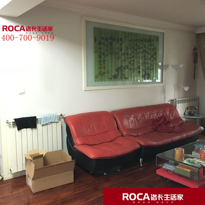 \南京進口暖氣片壁掛爐 明裝暖氣片 中央凈水