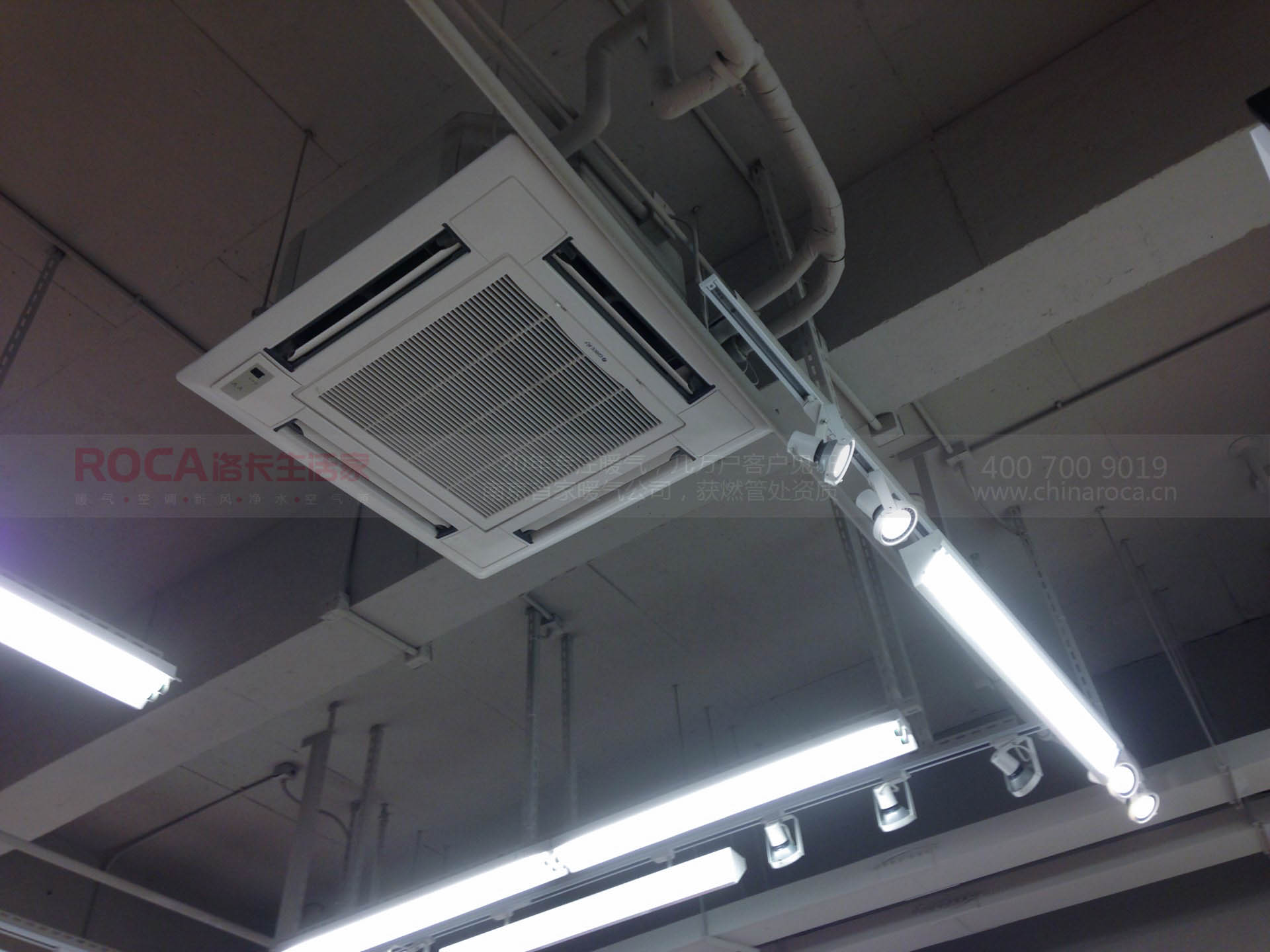 {(dio),{(dio),ÿ{(dio),忨