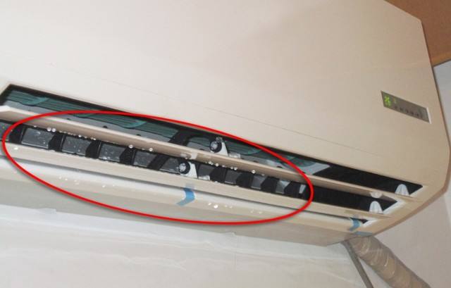 Ͼ{Ͼ{|֥Ͼ忨